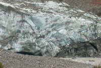 Fox Glacier